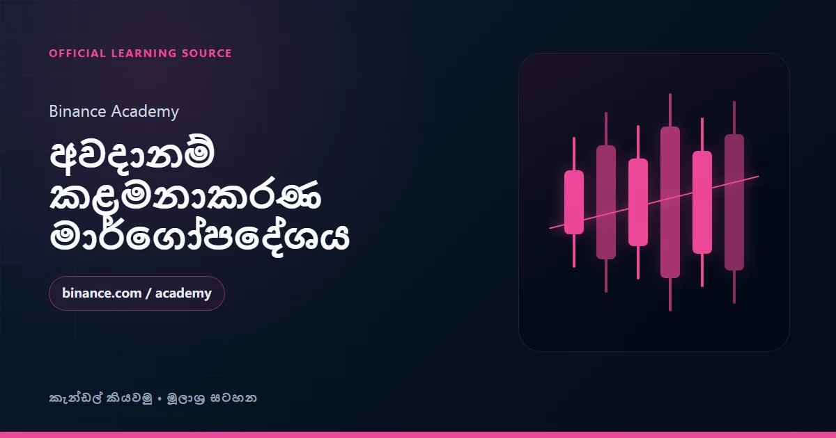 Binance Academy: අවදානම් කළමනාකරණ ආරම්භක මාර්ගෝපදේශය