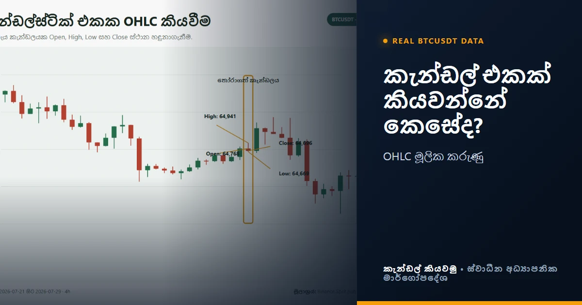 Candlestick chart එකක් කියවන්නේ කොහොමද? සිංහල මූලික පාඩම